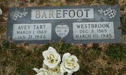 Avey <I>Tart</I> Barefoot 