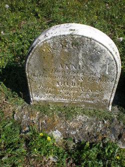 Annie Ahlum 