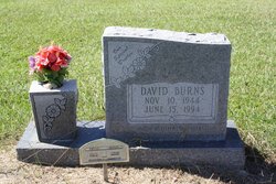 David Burns 