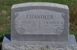 Nettie Ann <I>Parsons</I> Chandler 