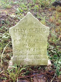 Lilly Bland 