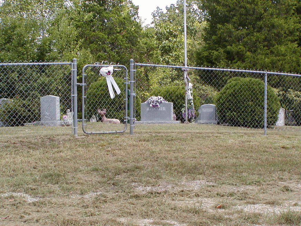 Puckett Cemetery #4