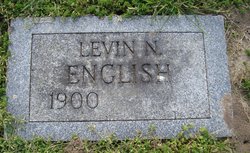 Levin N English 