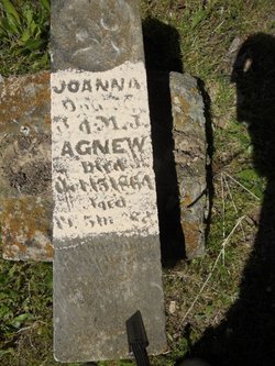 Joanna Agnew 