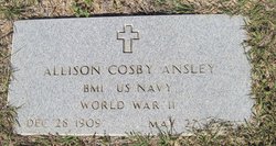 Allison Cosby Ansley 