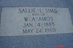 Sallie L <I>Sims</I> Amos 