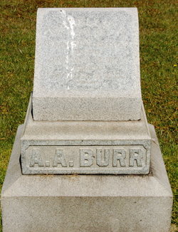 Addison A Burr 