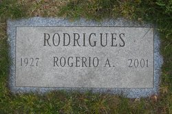 Rogerio Andrade Rodrigues 