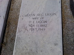 Carolyn <I>Sieg</I> Liggin 