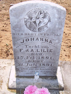 Johanna Lilie 
