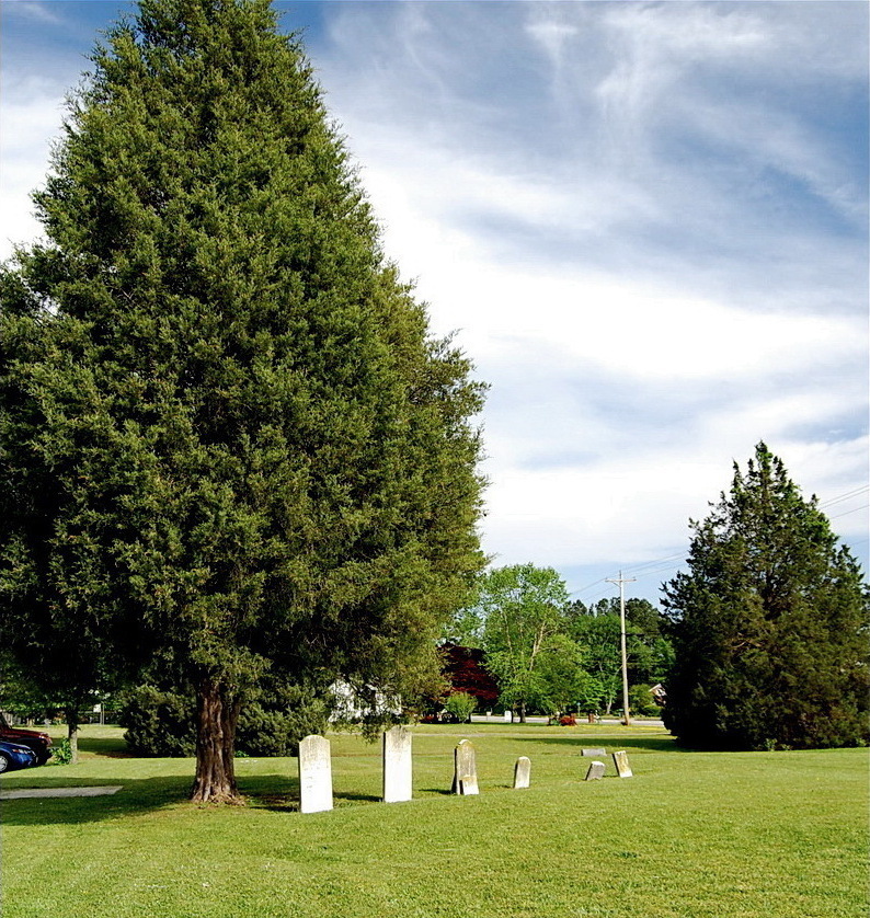 Davis-Jackson Cemetery