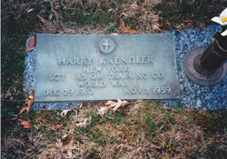 Harry Kaendler 