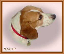 Baylee “Ms Beasley” Albieri-Styers 
