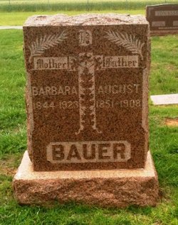 Barbara Bauer 