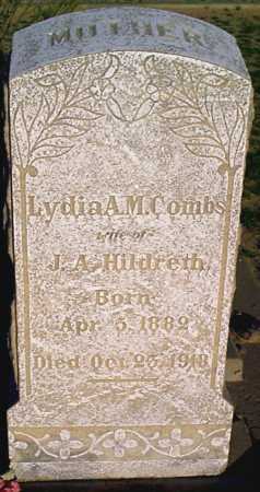 Lydia Ann Medford <I>Combs</I> Hildreth 