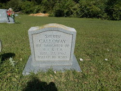 Sherry Ann Calloway 