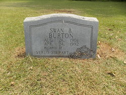 Swan Burton 