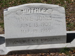 Annie Lee <I>Jones</I> Allen 