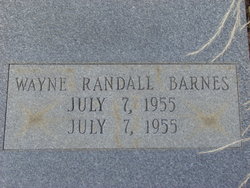 Wayne Randall Barnes 