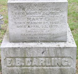Mary Ellen Darling 