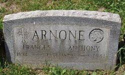 Anthony Arnone 