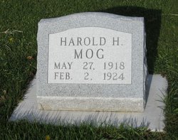 Harold Harvey Mog 