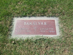 Albert David Bakalyar 