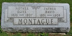 David Montague 