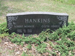 Robert Monroe Hankins 