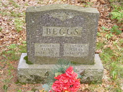 Harry Beggs 