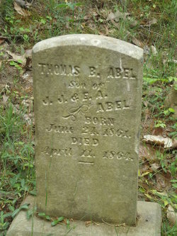 Thomas B Abel 