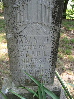 Amy O. <I>Wilber</I> Anderson 