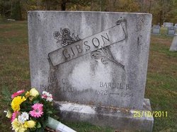 Ida Caroline <I>Nicholson</I> Gibson 
