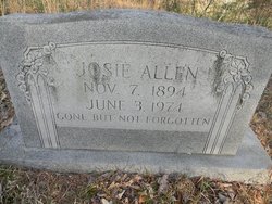 Josephine “Josie” <I>Arnett</I> Allen 