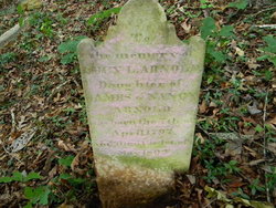 Lucy L Arnold 