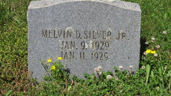 Melvin D Silver Jr.
