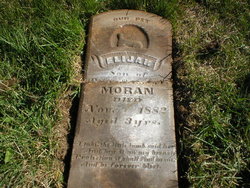 Elijah Moran 