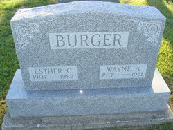 Wayne A. Burger 
