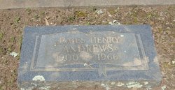 James Henry Andrews 