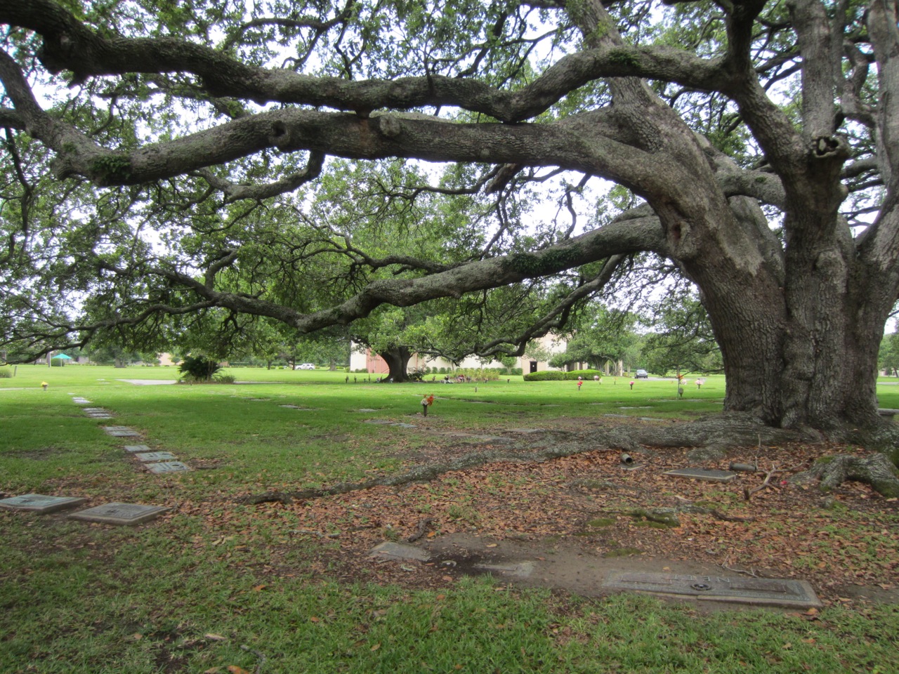 Garden Of Memories In Metairie Louisiana Find A Grave Cemetery