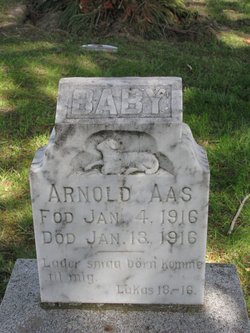 Arnold Aas 