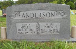 James Hamilton Anderson 