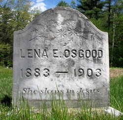 Lena E Osgood 
