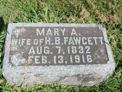 Mary Ann <I>Jones</I> Fawcett 