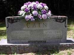 Susan Frances Beatrice <I>Lewis</I> Cain 