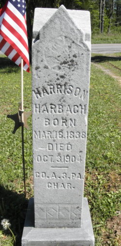 Harrison Harbach 