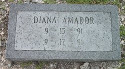 Diana Amador 