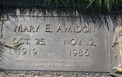 Mary E Amidon 