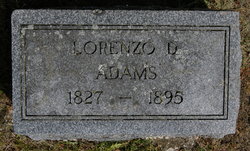 Lorenzo Dow Adams 