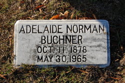Adelaide <I>Norman</I> Buchner 